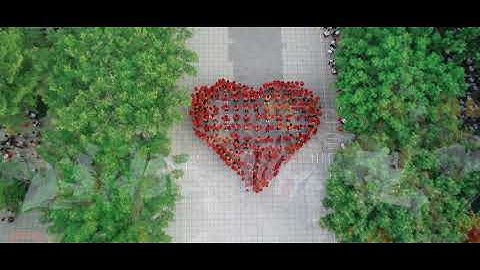 Trường Tiểu Học Lý Tự Trọng - Vũng Tàu | Lễ Tổng Kết năm học 2019-2020 | Graduation Video