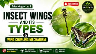 Insect Wings and Its Types & Wing Coupling Mechanism | Entomology Lec 10 | Insecta | BSc Agriculture