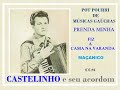 Pot-pourri de Músicas Gaúchas com CASTELINHO (O sanfoneiro de Torres e Florêncio)