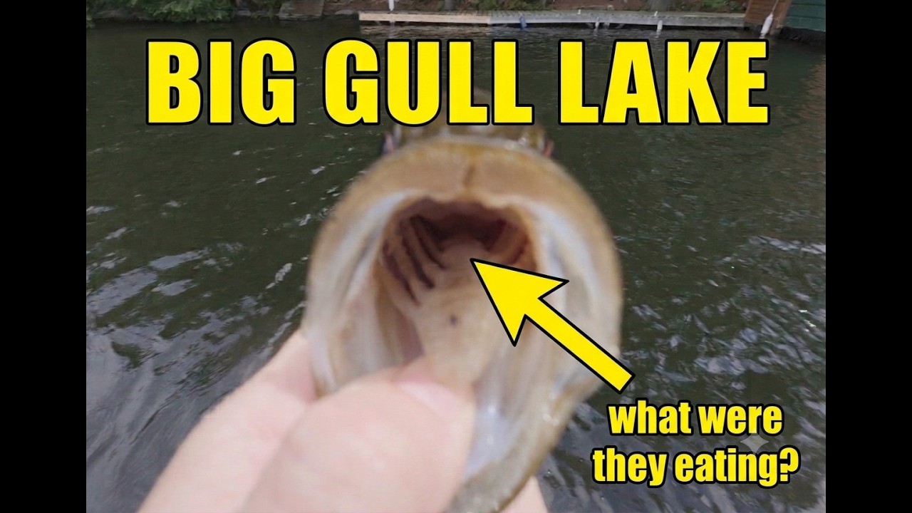 Big Gull Lake Bass: Opening Weekend Mayhem!