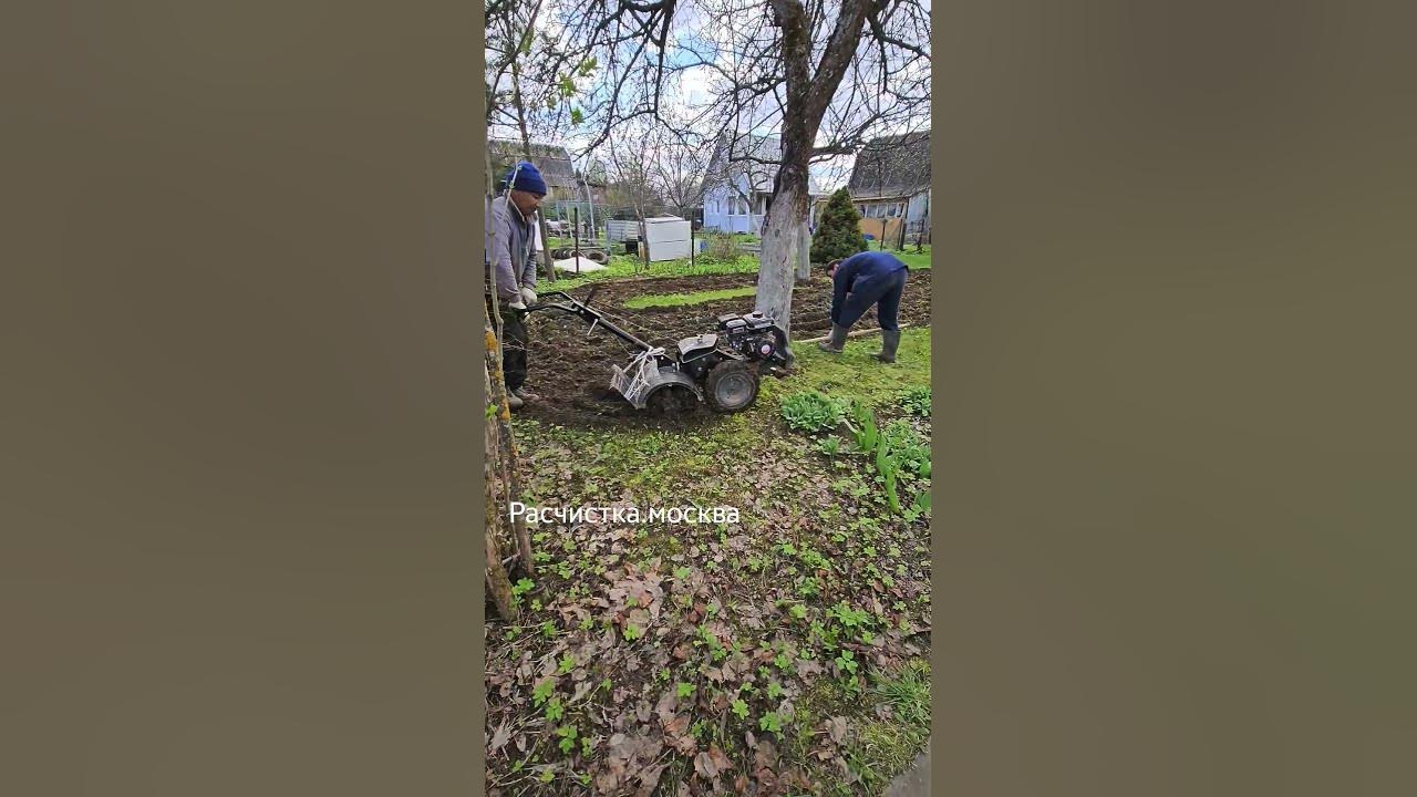 Рекультивация участка. Подготовка грунта под посевной газон. Москва и ...
