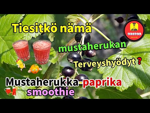 Video: Kiinalaiset munakoisotyypit – Opi munakoisojen kasvattamisesta Kiinasta