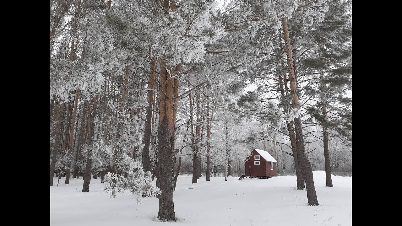 Моя усадьба. Дома на деревьях. Продаю. - YouTube