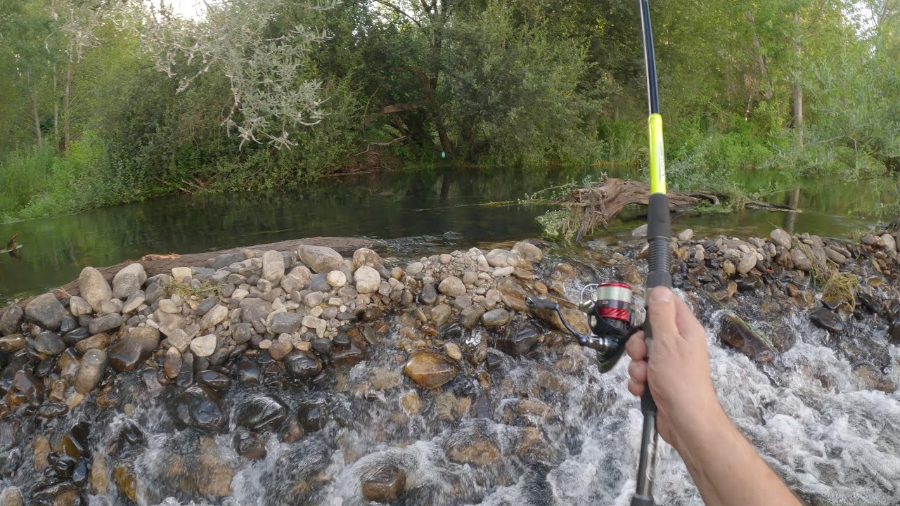 LA PESCA AL SERENO EN UN  PRECIOSO  RÍO