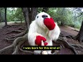 Bigfoot &amp; Yeti First Vlogs using Selfie Stick