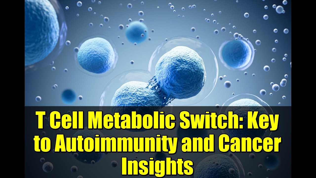 T Cell Metabolic Switch: Key to Autoimmunity and Cancer Insights