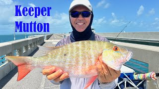 Landbased Keeper Mutton Snapper (Florida Keys Bridge Fishing)