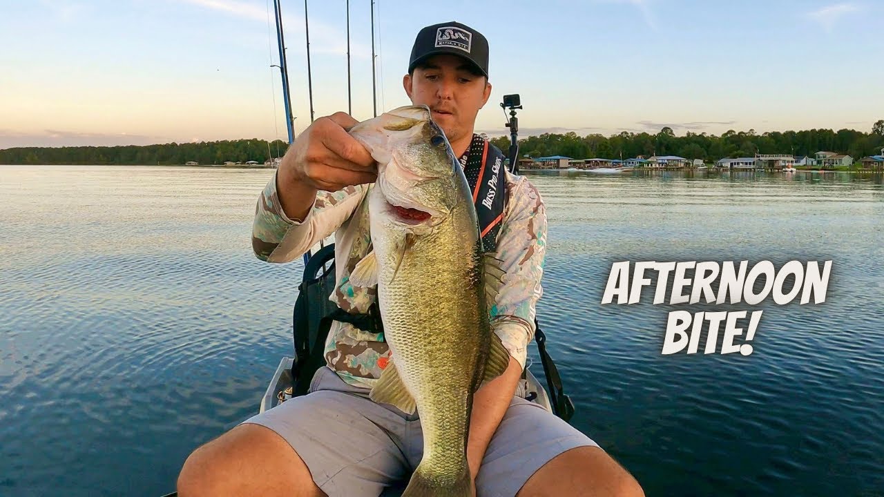Bass Fishing Kingsley Lake | LiveScope Footage