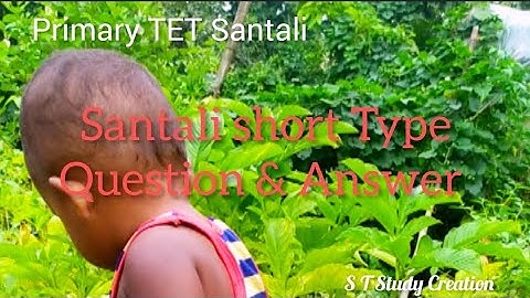 SANTALI primary Tet/Santali Grammar/Short Type Questions Answer