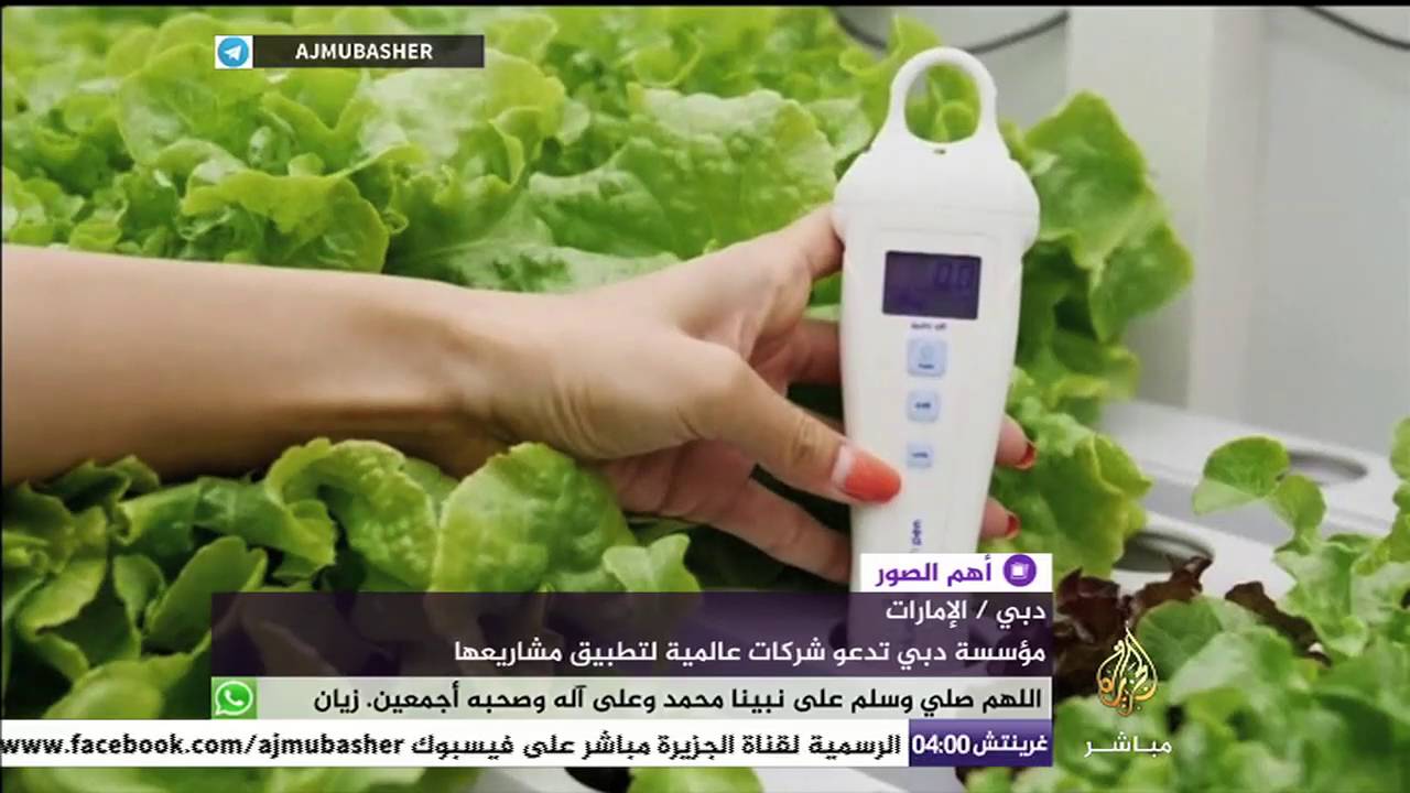 مؤسسة دبي تنفق مليار درهم إماراتي على مشروع "مسرعات المستقبل" لتطوير العمل الحكومي