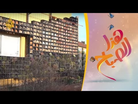 هذا الصباح - فنادق مزينة بالخيزران والقش مخصصة للحشرات