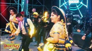 LOS DELFINES DEL AMOR - VAMOS TODOS A BAILAR ( primicia 2023 salay san simon )