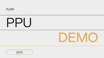 Flow PPU Demo 2025