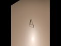 sunglass design