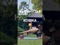 Раскрываем грудной отдел позвоночника