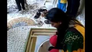 Multi Entry & Resident Fire Drill Video