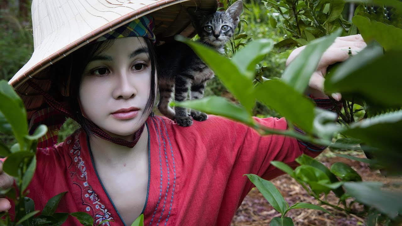 Хорошие новости: здоровье котят улучшается — рыбалка на котят.