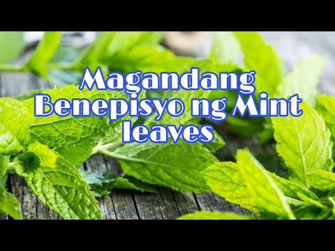 Video: Mga Pakinabang Ng Peppermint