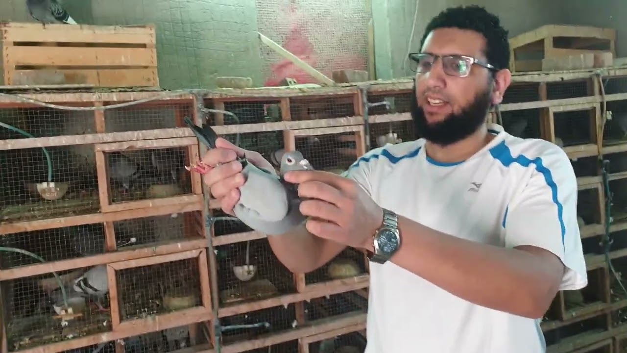 يا مرحب بالضيوف الجديدة من أحلا مزاد من البطل حاتم سكر