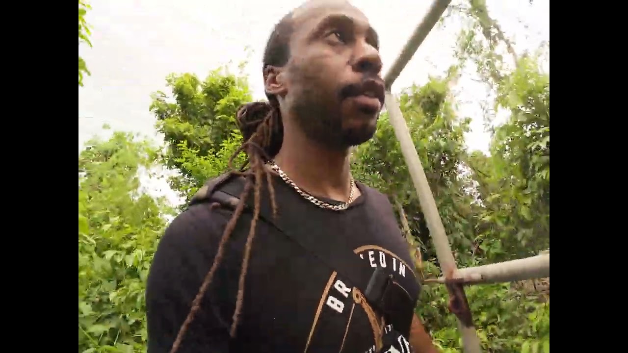 orange hill jamaica weed farm