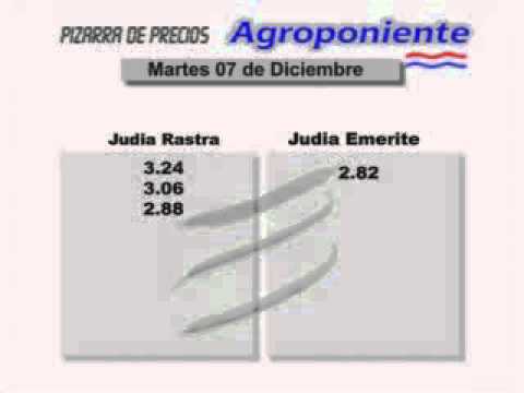 PIZARRA DE PRECIOS DE AGROPONIENTE 07-12-2010