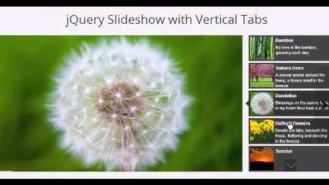 Creating a beautiful, professional jQuery Slider