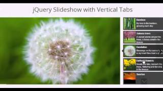 Creating a beautiful, professional jQuery Slider