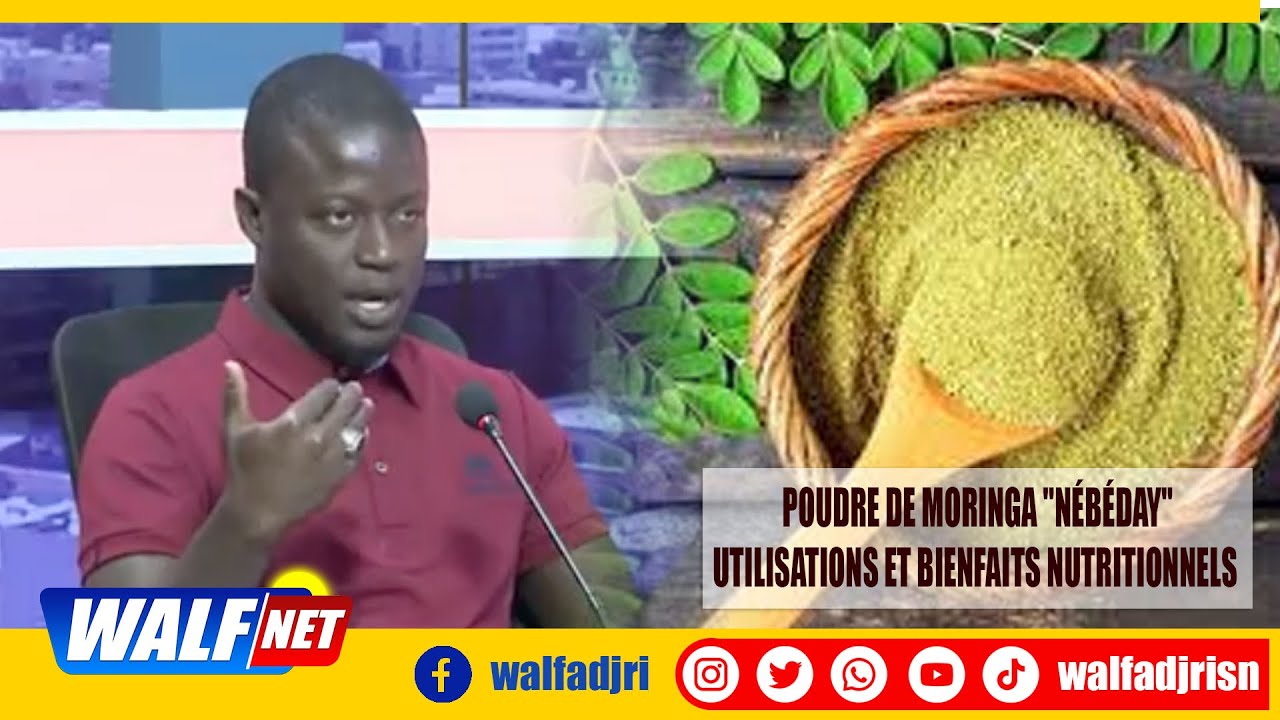 Poudre de MORINGA 