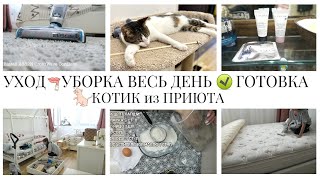 видео: МНОГО УБОРКИ с БЕСПРОВОДНЫМ МОЮЩИМ ПЫЛЕСОСОМ BISSEll🔥УХОД✅ГОТОВЬ,УБИРАЙ ВМЕСТЕ СО МНОЙ🐝ПРИЮТИЛИ КОТА картинка: МНОГО УБОРКИ с БЕСПРОВОДНЫМ МОЮЩИМ ПЫЛЕСОСОМ BISSEll🔥УХОД✅ГОТОВЬ,УБИРАЙ ВМЕСТЕ СО МНОЙ🐝ПРИЮТИЛИ КОТА