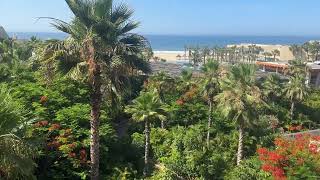 View from Vidanta Grand Mayan Los Cabos