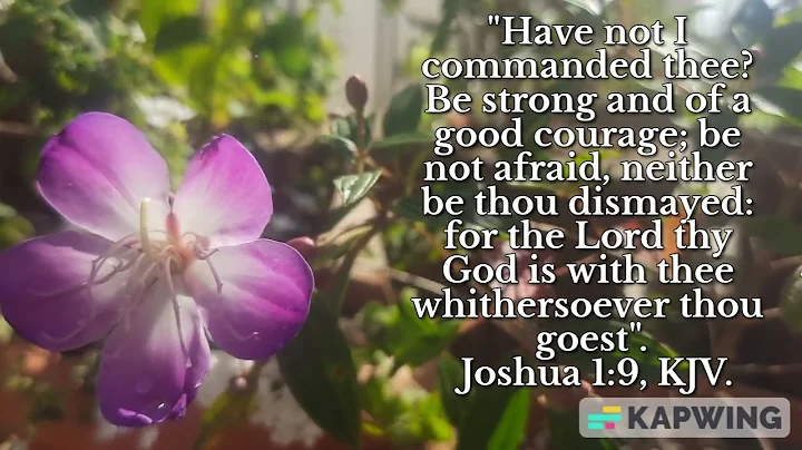 Be strong and of a good courage. Joshua 1:9, KJV.