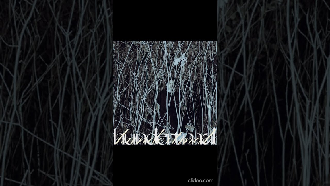 diggidaniel - hundertmal (prod. moodrich)