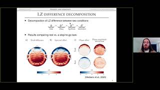 Pedro Mediano, Information theory tools for cognitive neuroscience