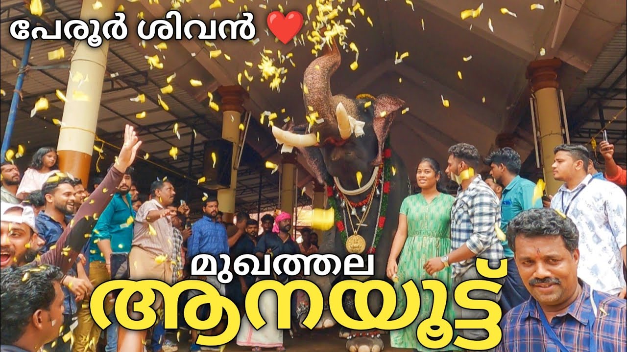 മുഖത്തല ആനയൂട്ട് 2023 | MUKHATHALA SREEKRISHNA SWAMI TEMPLE AANAYOOTTU 2023
