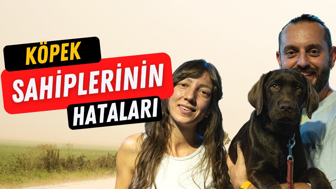 Köpek Sahiplerinin Yaptığı Hatalar -Kafes Eğitim, Havlama Problemi, Gezdirme-Köpek Eğitimi Videoları