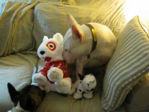 target dog toys target dog toys