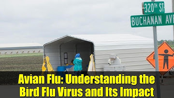 Avian Flu: Understanding the Bird Flu Virus and Its Impact
