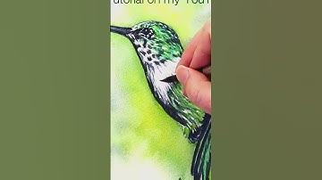 Painting Hummingbird Feathers #shorts #hummingbird #watercolor