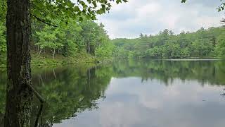 Whitehall Pond - Rutland St. Park MA