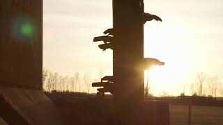 Lake Mjøsa Norway 03 04 2021 Bmpcc6K Pro Test