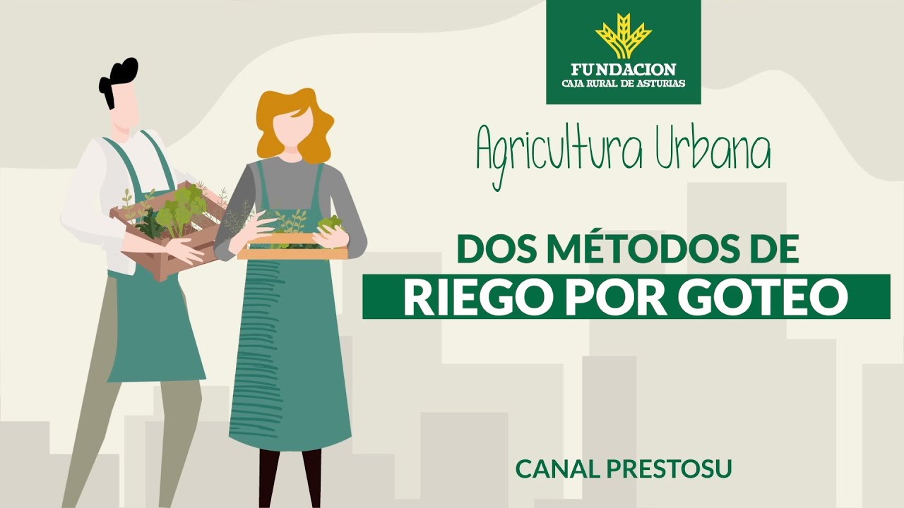 ¿Irte de vacaciones sin dejar morir las plantas? Te enseñamos 2 formas de riego por goteo