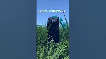Biggest Upgrade Is Shooting Content With My Tenikle Tenikle Sharktanktenikle 