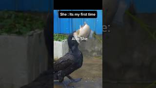 She Will Definitely Surprise You