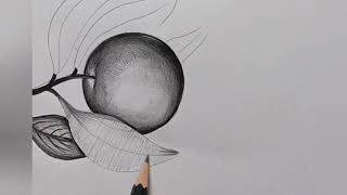 Details How to Draw an Apple with Leaves | Realistic Pencil Shading Tutorial News
