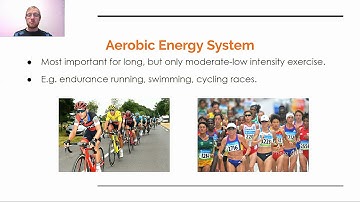 Exercise Physiology: Energy Systems