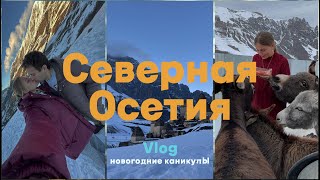 : VLOG:  ,   ,   ,    