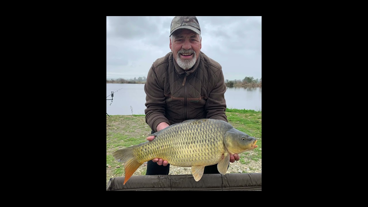 Vacaciones en el Lago Alfarofia