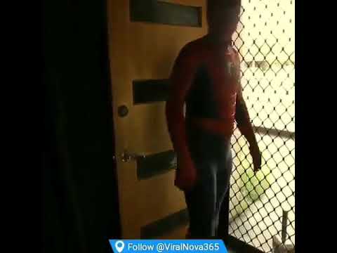 Spider-Man (Gülməli)®