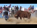 Bahe&#39;s Bull Bash