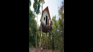 Build Tree House, Short